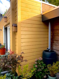 Wij ontvingen een foto van een Super enthousiaste klant die haar gemetselde muren en tuin meer kleur wilde geven 💛🌼.

@superwood.nl maakte dit mogelijk 😁