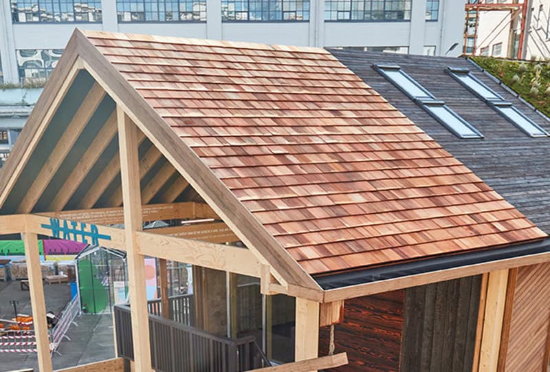 Niet meer geldig Peuter Afhaalmaaltijd Shingles - Gras Wood Wide BV Zaandam - Dé houtimporteur van Nederland