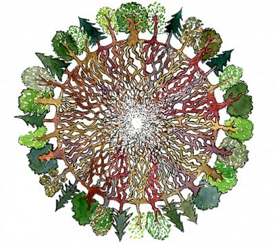 bg-round-graswide-small-400×352
